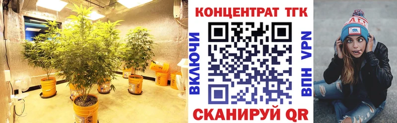 гидра tor  Суздаль  ТГК THC oil 