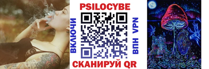 Псилоцибиновые грибы GOLDEN TEACHER магазин наркотиков Суздаль